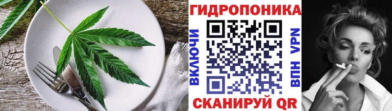 Купить где  Кемь  Еда ТГК марихуана 