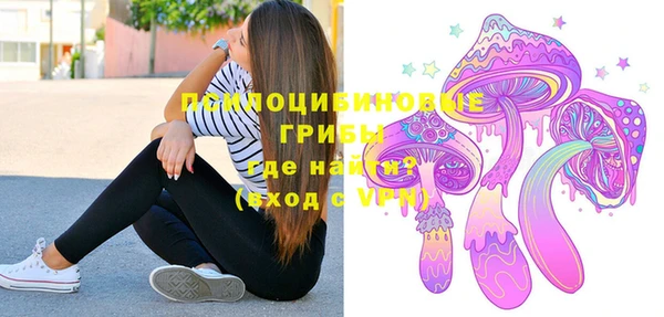 spice Горнозаводск