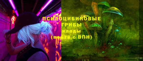 a pvp Горно-Алтайск