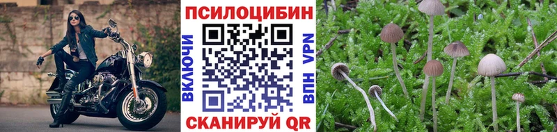 Купить закладки  Кемь  Галлюциногенные грибы прущие грибы 